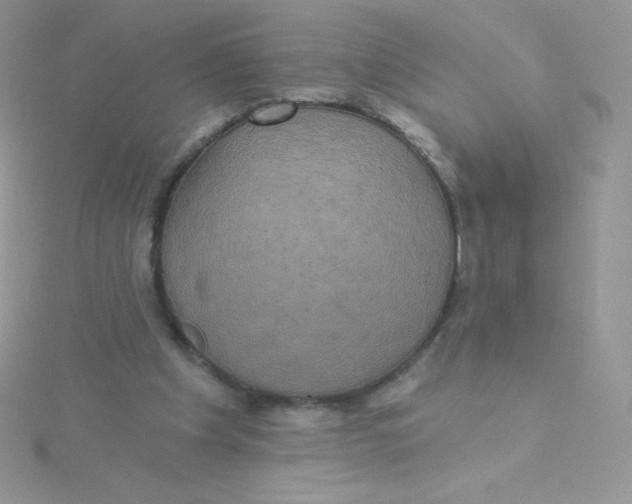 X0000115330201200911231419