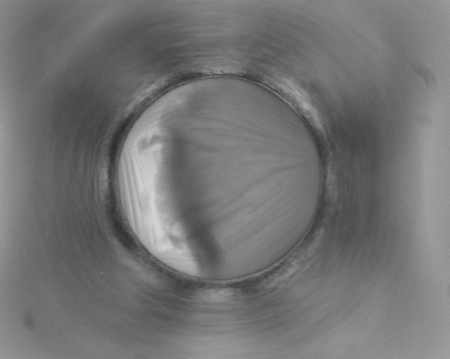 X0000115330202200911231419