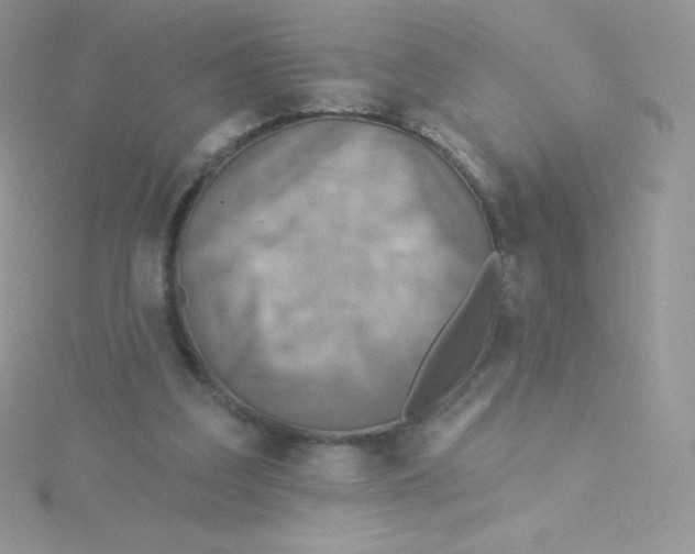 X0000115330203200911231419