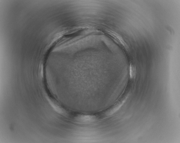 X0000115330205200911231419