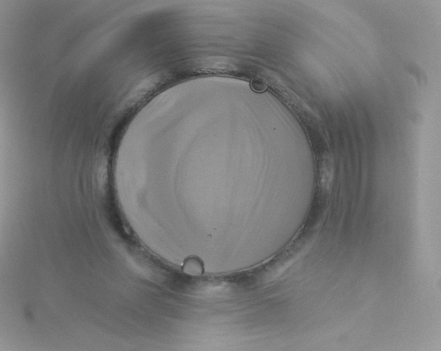 X0000115330206200911231419