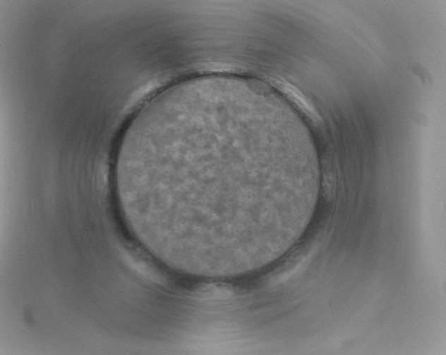 X0000115330207200911231419