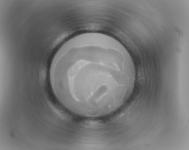 X0000115330208200911231418