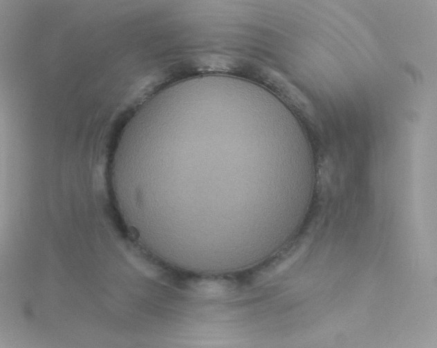 X0000115330209200911231418