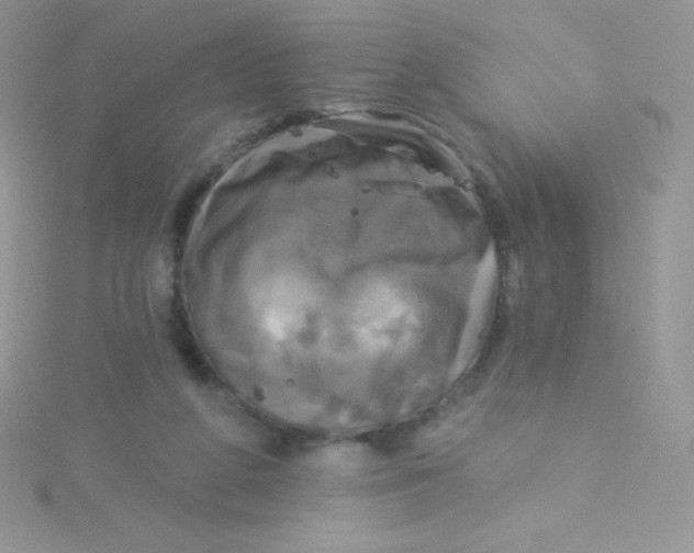 X0000115330210200911231418