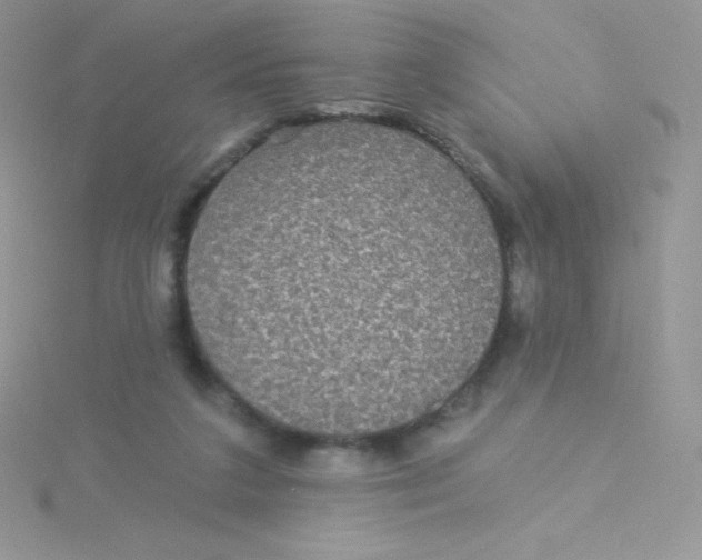 X0000115330211200911231418