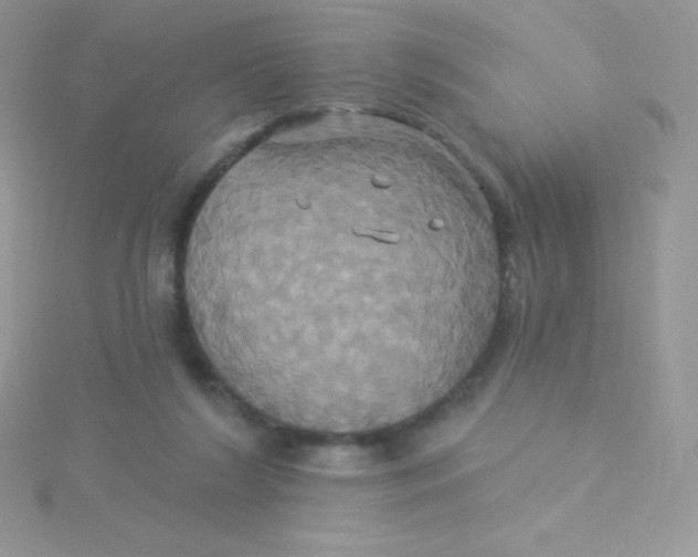 X0000115330212200911231418