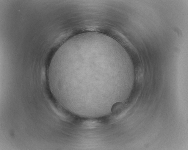 X0000115330213200911231418