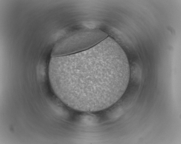 X0000115330215200911231418