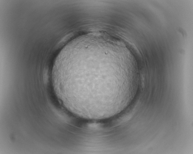 X0000115330216200911231418