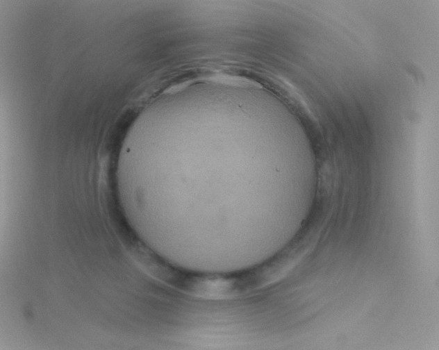 X0000115330217200911231418