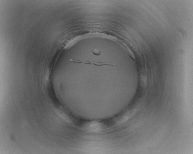 X0000115330219200911231418