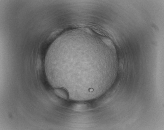 X0000115330220200911231418