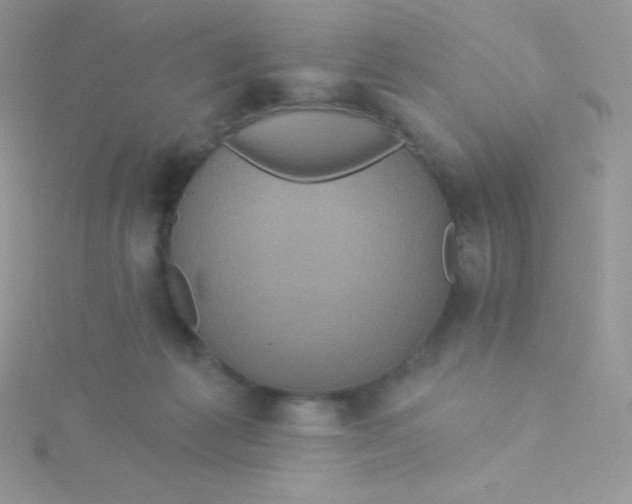 X0000115330221200911231418