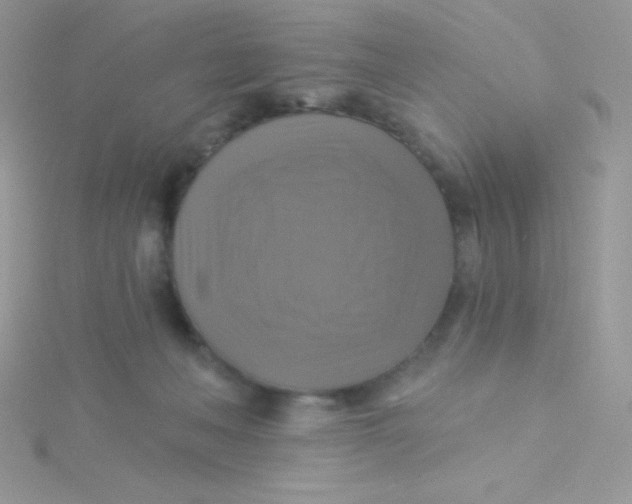 X0000115330222200911231418