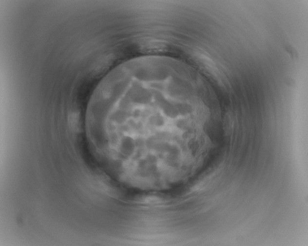 X0000115330224200911231418