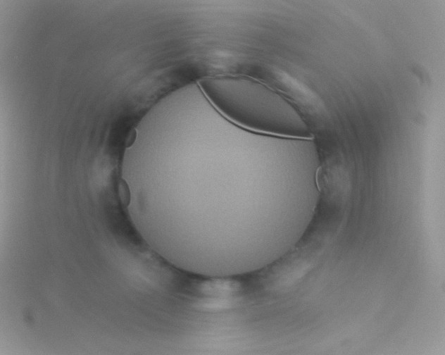 X0000115330225200911231418