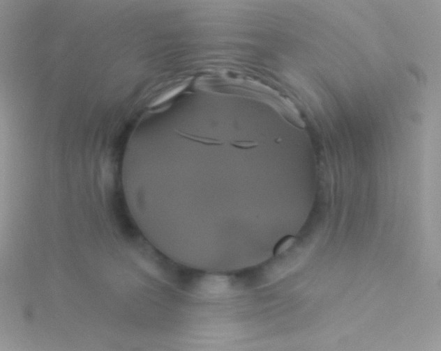 X0000115330227200911231418