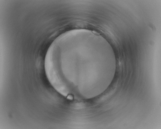 X0000115330228200911231418