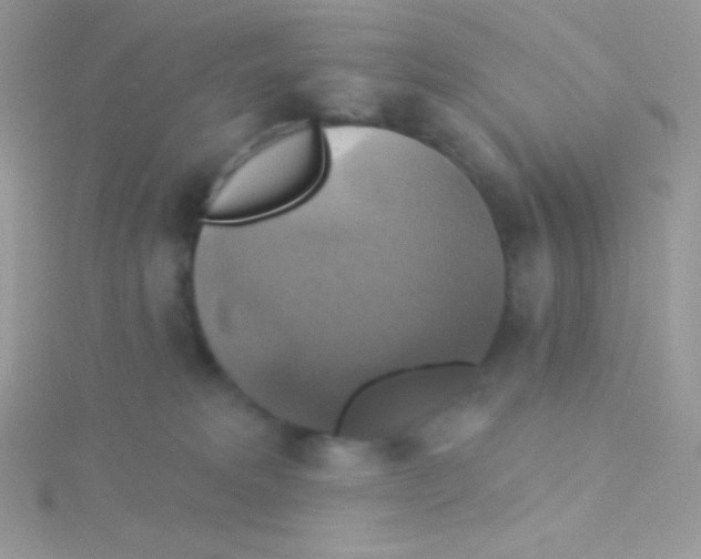 X0000115330229200911231418