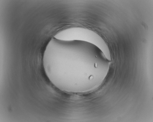 X0000115330231200911231418