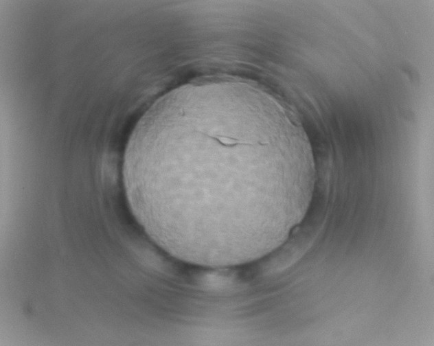 X0000115330232200911231418