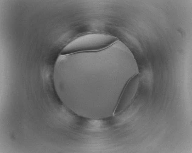 X0000115330233200911231418