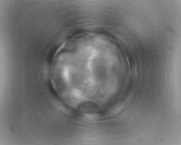 X0000115330234200911231418