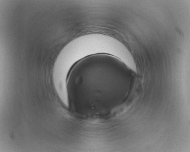 X0000115330235200911231418