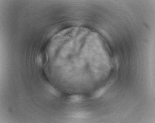 X0000115330238200911231418