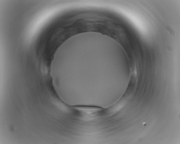 X0000115330239200911231418