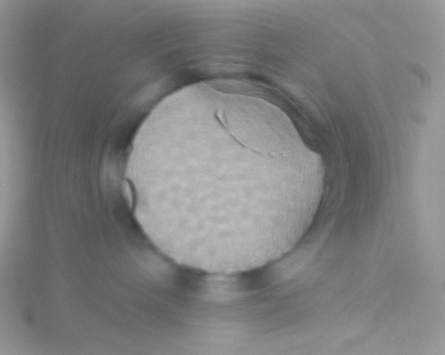 X0000115330240200911231418