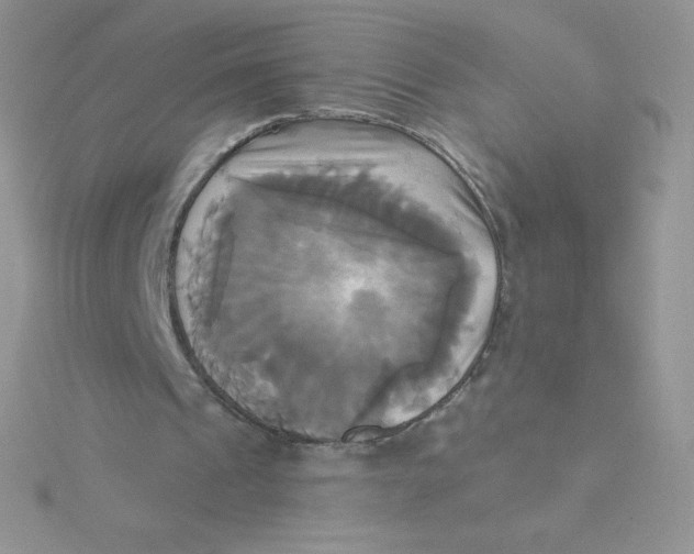 X0000115330241200911231417