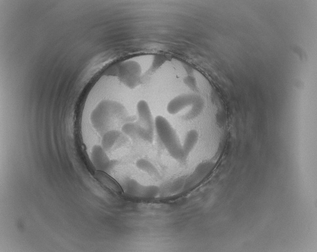 X0000115330242200911231417