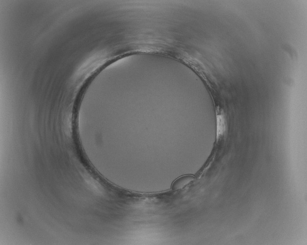 X0000115330243200911231417