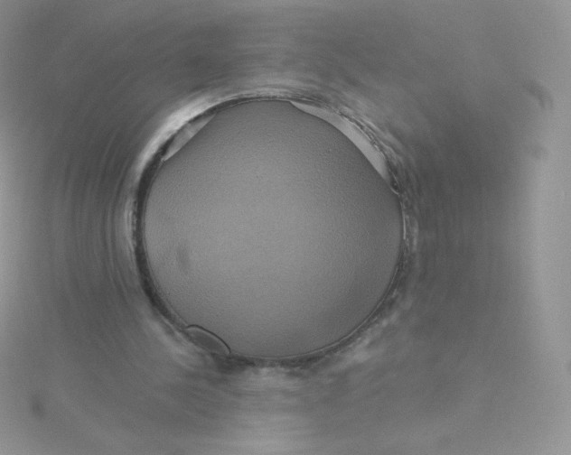 X0000115330244200911231418