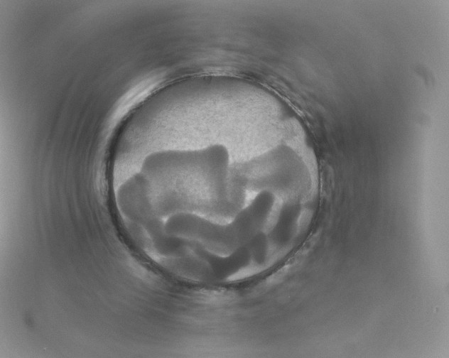 X0000115330245200911231418