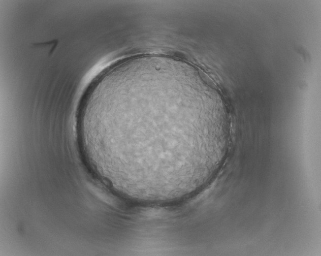 X0000115330246200911231418