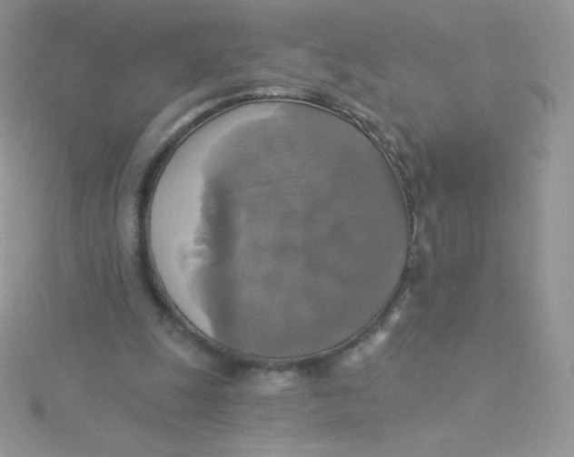 X0000115330247200911231418