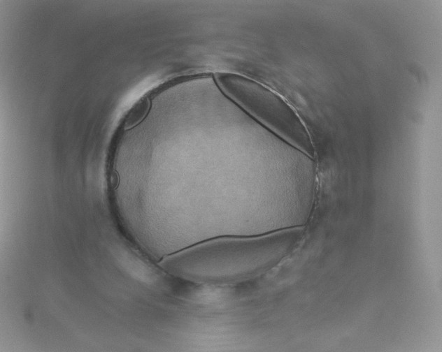 X0000115330248200911231418