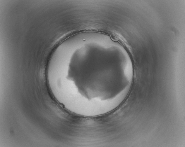 X0000115330249200911231418