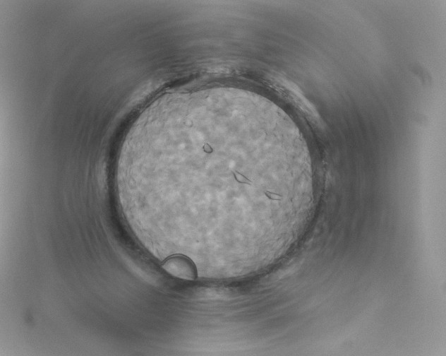 X0000115330250200911231418