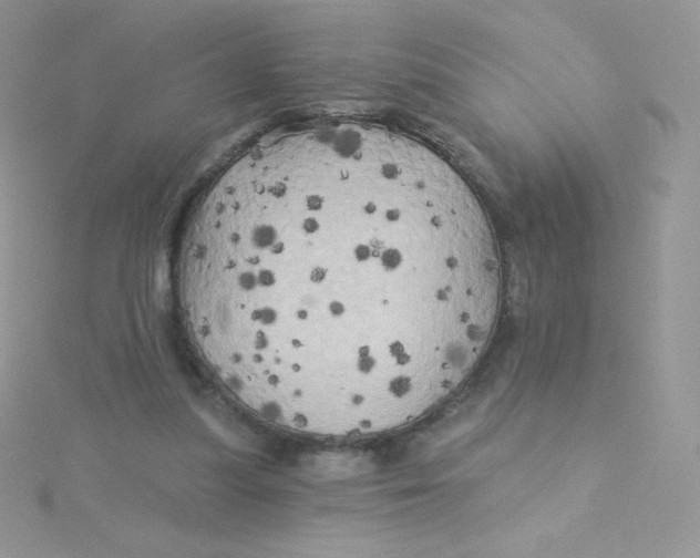 X0000115330251200911231418