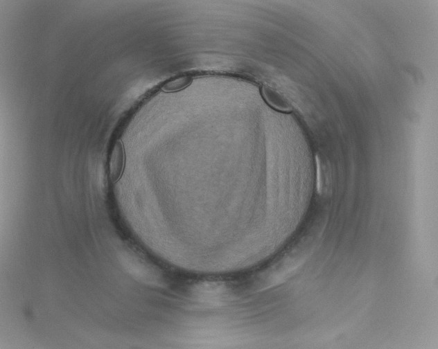 X0000115330252200911231418