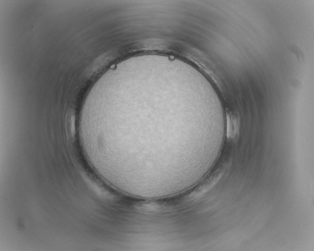 X0000115330253200911231418