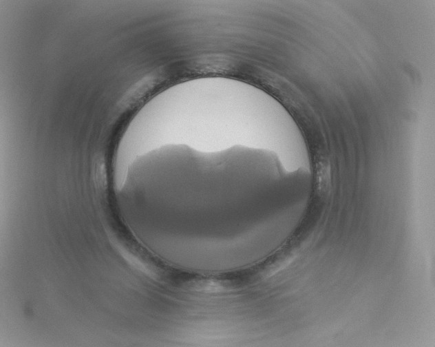 X0000115330254200911231418