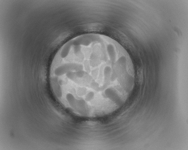 X0000115330255200911231418