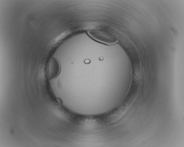 X0000115330256200911231418