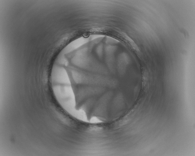 X0000115330257200911231418