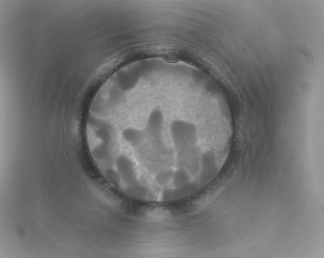 X0000115330258200911231418